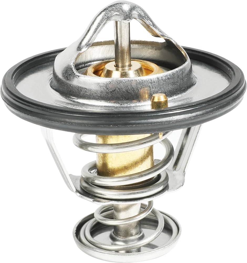 Thermostats & Hoses